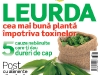Sanatatea de azi ~~ Leurda, cea mai buna planta impotriva toxinelor ~~ Martie 2011