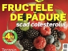 Sanatatea de azi ~~ Fructele de padure scad colesterolul ~~ August 2010
