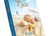 Romanul BARCA DE ARGINT, de Luanne Rice ~~ Seria Lecturi de Vacanta oferita de Libertatea pentru femei ~~ 2 Iulie 2012 ~~ Pret: 10 lei