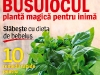 Revista Sanatatea de azi ~~ Busuiocul, planta magica pentru inima ~~ Iulie 2013