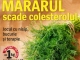 Sanatatea de azi ~~ Mararul scade colesterolul ~~ August 2013