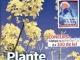 Click Sanatate ~~ Plante banale, efecte uimitoare ~~ Martie 2014